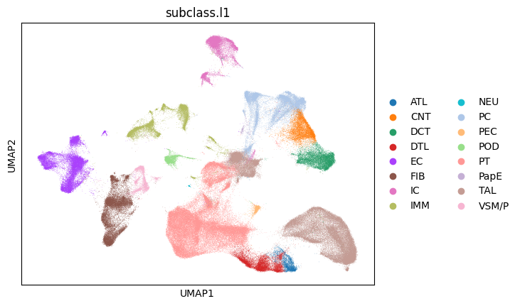 _images/kpmp_snrnaseq_prep_5_0.png