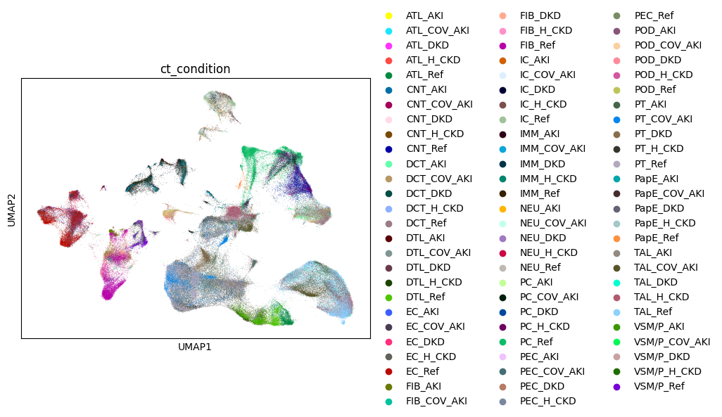 _images/kpmp_snrnaseq_prep_9_1.png